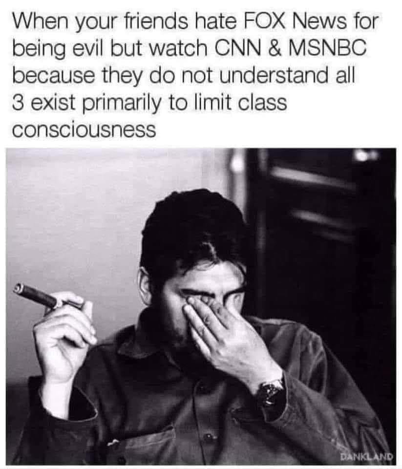 This meme is a humorous commentary on the perceived hypocrisy of people who claim to be liberal or progressive, but are actually just as bad as those they criticize. The text "When your friends hate FOX News for being evil but watch CNN & MSNBC because they do not understand the 3 principles of Marxist class struggle: 1) The ruling class 2) The ruling class 3) The ruling class" is a sarcastic and ironic statement about how people often prioritize the media that confirms their own biases, rather than seeking out diverse perspectives. The image is likely a photo of a person with a confused or embarrassed expression, possibly with their hand covering their face.