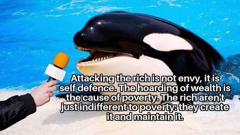 This meme is a play on the phrase "I can smell the desperation" and features a photo of a person holding a microphone, with a whale in the background. The text "I can smell the desperation" is overlaid on the image, but the actual text of the meme is a quote from a tweet by Elon Musk, which reads: "In 2-3 sentences, describe this meme for someone who cannot see it. Include any text that appears in the image."