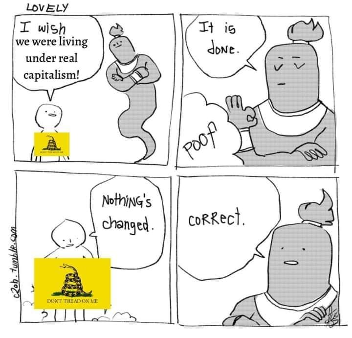 This meme is a humorous illustration of a conversation between a genie and a person. The person wishes to live in a world where capitalism is not the dominant economic system, but the genie's response is a sarcastic and ironic "nothing's changed" with a picture of the "Don't Tread on Me" flag, implying that the person's wish is still being fulfilled in a capitalist society. The text "I wish we were living in a socialist/communist/whatever utopia" is not present in the image.