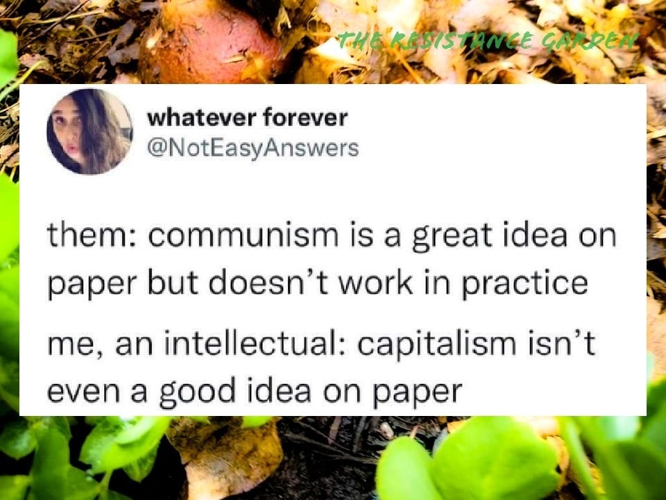 This meme is a humorous exchange between two people. The first person says "they" think communism is a good idea on paper, but in practice, it doesn't work. The second person responds with a sarcastic remark, implying that communism is only a good idea on paper, but not in reality. The text in the image reads: "they: communism is a great idea on paper but doesn't work in practice me: capitalism is a great idea on paper but doesn't work in practice".