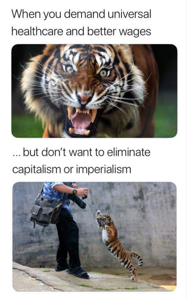 This meme is a humorous commentary on the concept of "democratic socialism" or "socialism in one country" as a way to reconcile the goals of socialism with the limitations of a single country's economy. The image shows a tiger, which is often associated with power and strength, but is also depicted as being held back by a leash, implying that its power is being restrained. The text above the image reads "When you demand universal healthcare and a living wage but don't want to give up your guns or your freedom" and below it says "In that case, you're just a capitalist in denial".