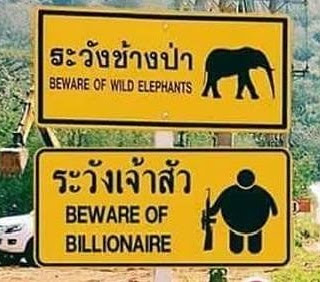 This meme is a humorous warning sign that combines two warnings in a single sign. The top part of the sign reads "Beware of Wild Elephants" in a traditional Thai script, while the bottom part reads "Beware of Tourists" in a similar script, but with a comical twist, replacing "Tourists" with "Billionaires". The image is meant to poke fun at the idea that wealthy individuals might be more of a threat to the local wildlife than the actual animals.