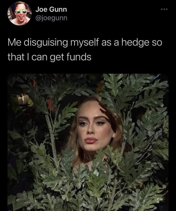The meme is a play on the phrase "I'm hiding in plain sight." It shows a photo of actress Emma Stone, but with her face obscured by a large, green plant. The text above the image reads, "I'm not hiding, I'm just being leafy."