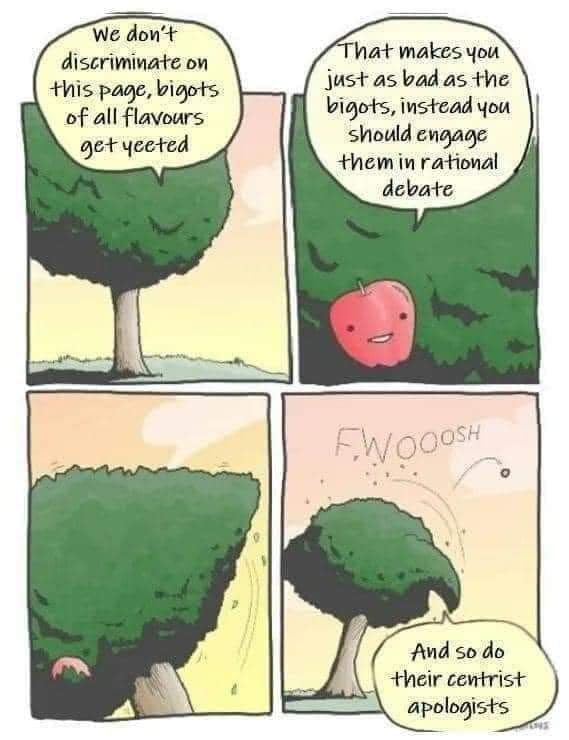 This meme is a humorous take on a classic internet debate. It features a comic strip with a tree and an apple, with the tree saying "We don't discriminate on this page" and the apple responding with "We don't have to make our own rules". The text at the top reads "We don't discriminate on this page, bigots of all flavours get yeeted" and the bottom reads "We don't have to make our own rules, just let us make our own rules".