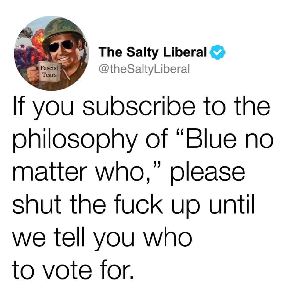 The meme is a screenshot of a Twitter post from a user named "The Salty Libertarian" (also known as "The Salty Lib"). The post reads: "If you subscribe to the philosophy of 'Blue no matter who', please shut up until we tell you to vote for someone else."