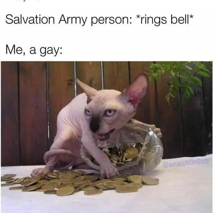 This meme is a humorous image of a cat sitting on a pile of coins, with a caption that pokes fun at the idea of a Salvation Army bell ringer being a "good" person. The image is accompanied by the text "In 2-3 sentences, describe this meme for someone who cannot see it."