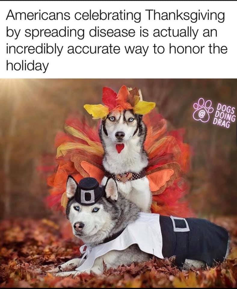 This meme is a humorous take on the idea that Thanksgiving is a time for people to express gratitude, but it's actually a time for people to get sick with food poisoning from eating too much turkey. The image shows two dogs dressed up as the Pilgrims and the Native Americans who first celebrated Thanksgiving, but with a twist: they're both dressed in ridiculous and over-the-top costumes, with the Pilgrim dog wearing a giant turkey hat and the Native American dog wearing a feathered headdress. The text at the top of the image reads "When you realize Thanksgiving is actually just an excuse to eat until you're sick."