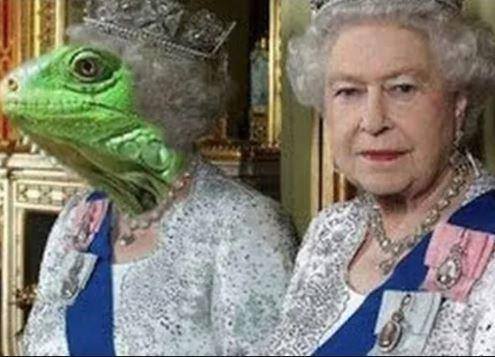 This meme features a photo of Queen Elizabeth II, but with a surprising twist: her head has been replaced with that of a green, cartoonish lizard. The image is captioned "When you finally get to meet the Queen, but she's actually a lizard in disguise". The meme pokes fun at the idea of a monarch being a unexpected creature, and the humorous caption adds to the absurdity of the situation.