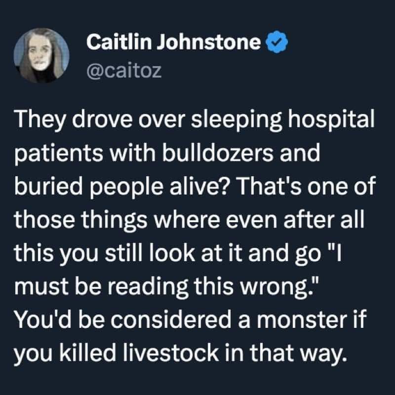This meme is a humorous comparison between two seemingly unrelated scenarios. The text reads: "They drove over sleeping hospital patients with bulldozers and buried people alive. That's one thing. You're the one who killed a guy by running him down for saying live stock was the wrong word." The meme is poking fun at the idea that someone's minor mistake (using "live stock" instead of "livestock") is being held up as a more egregious crime than the actual atrocities described in the first sentence.