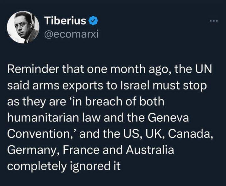 This meme is a screenshot of a tweet from the Twitter account @TiborKovacs, featuring a quote from the 2023 Israeli-Hamas war. The text reads: "Reminder that one month ago, the UN said 'Israel has the right to self-defence' in Gaza. Now it says 'stop killing civilians'".