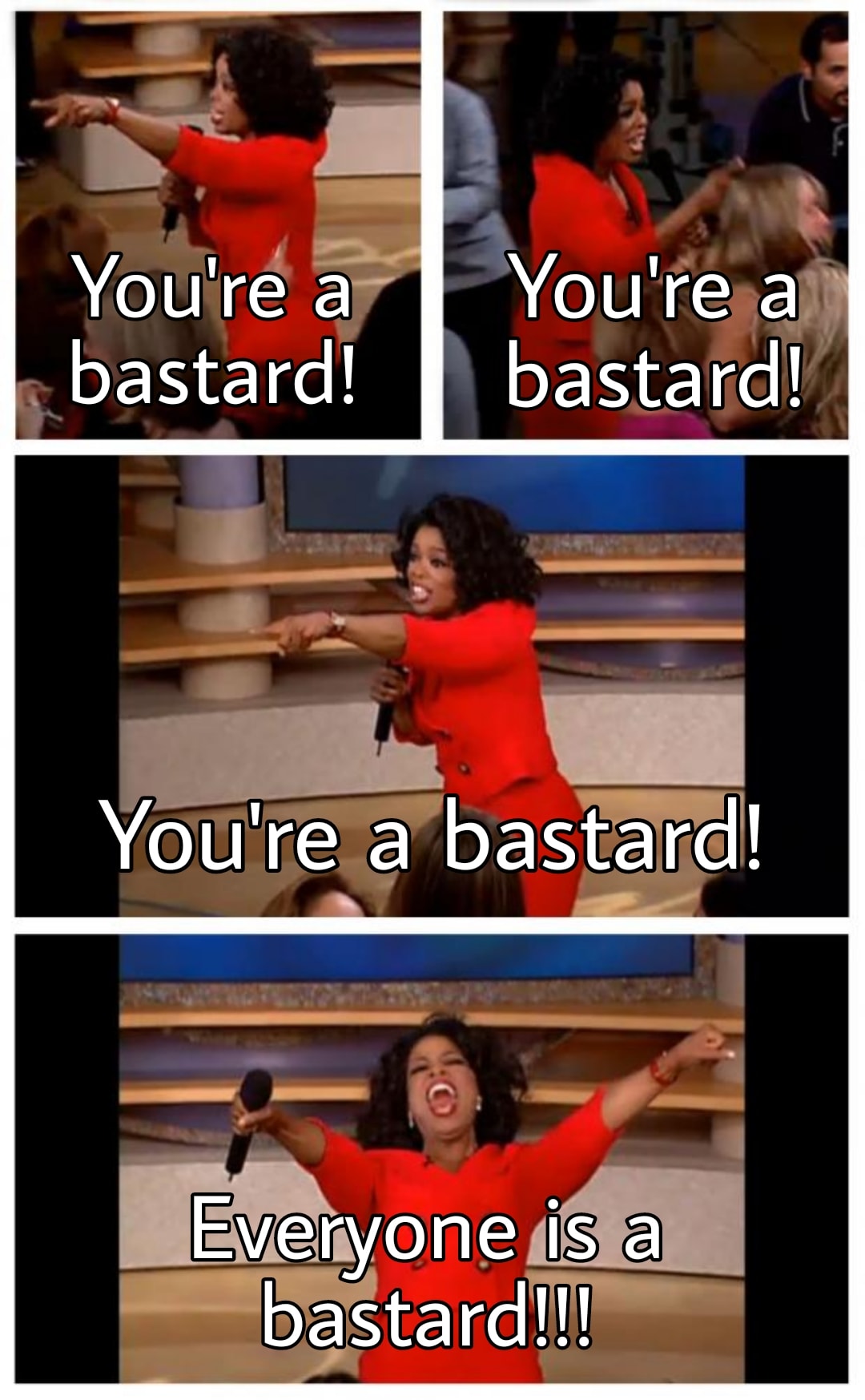 This meme is an image of Oprah Winfrey from her TV show, where she's yelling "You're a [insert insult]!" with a loud, exaggerated tone. The text in the image reads "You're a bastard!" and "Everyone is a bastard!" in a mocking, over-the-top way, implying that everyone is a "bastard" in some way.
