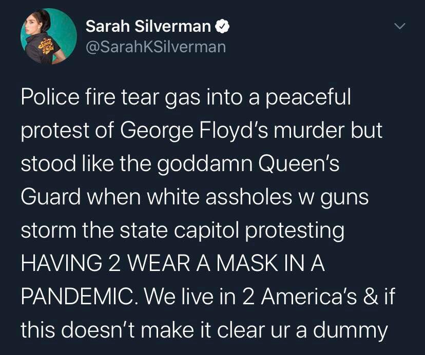 The meme is a humorous commentary on the 2021 US Capitol attack, comparing the event to a scene from a movie. The text reads: "Police fire tear gas into a peaceful protest of George Floyd's murder but stand down when armed men storm the capitol. In 2020, police were ordered to stand down. In 2021, they were ordered to advance. The difference is the skin color of the people they were ordered to protect. This is America in 2021."