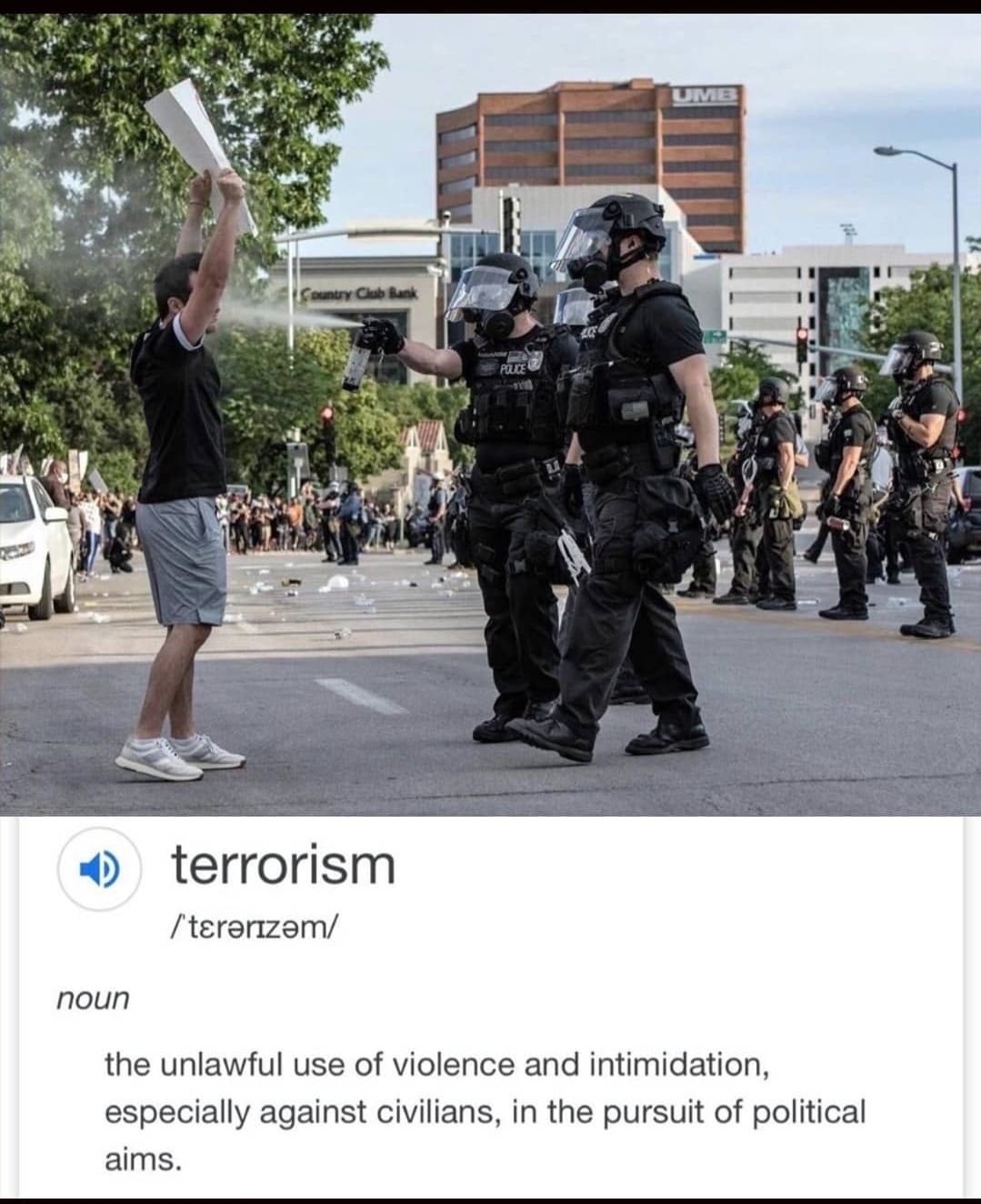 This meme is a humorous take on the concept of terrorism, using a definition from a dictionary to illustrate the absurdity of using the word to describe a situation where a person is being sprayed with pepper spray by police, while another person is simply holding a sign and protesting. The image shows a police officer in riot gear, with a protester in the background holding a sign, and a caption with the word "terrorism" defined as "the unlawful use of violence and intimidation, especially against civilians, in the pursuit of political aims." The meme is poking fun at the idea that the police are using pepper spray to control the situation, while the protester is simply exercising their right to free speech.