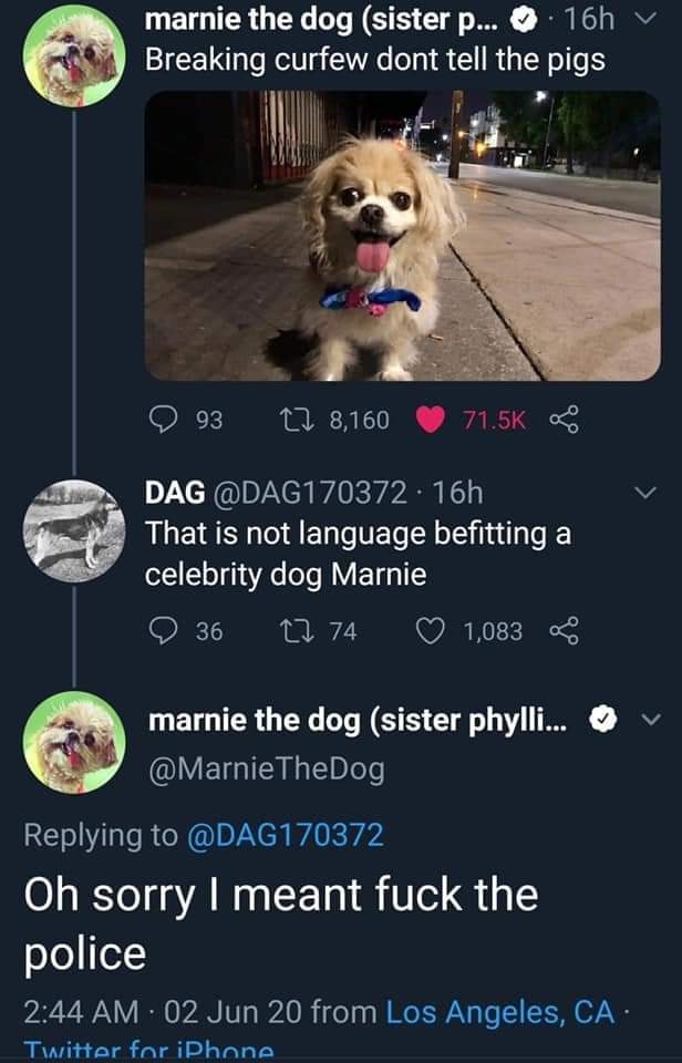The meme is a screenshot of a Twitter conversation between two users, @marnie_the_dog and @dadjokes. The conversation starts with @marnie_the_dog posting a picture of a dog with a caption "I'm not arguing, I'm just explaining why I'm right". @dadjokes responds with a picture of a dog saying "I'm not arguing, I'm just explaining why I'm right" and a caption "I'm not arguing, I'm just explaining why I'm right".