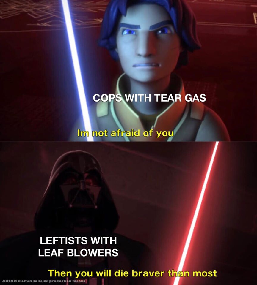 This meme is a humorous comparison between two characters from the animated show "Star Wars Rebels." The top image features Kanan Jarrus, a character who is known for his bravery, and the text "I am not afraid" is written above his head. The bottom image features a character who is known for being a bit of a coward, and the text "I am afraid" is written above his head.