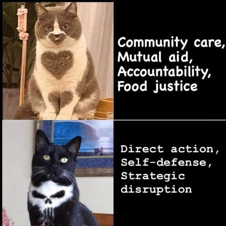 This meme is a humorous comparison between two cats. The top image shows a cat with a peaceful, serene expression, while the bottom image shows a cat with a fierce, aggressive expression. The text above the top image reads "When you're a good boy" and the text above the bottom image reads "When you're a good boy... NOT".