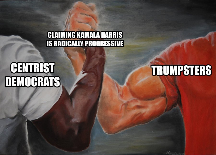 The meme is a play on the classic "punching" image, where two people are about to collide. The text on the left side reads "Centrist Democrats" and the right side reads "Trumpsters". The image is meant to show the supposed conflict between these two groups, with the implication that they are about to clash.
