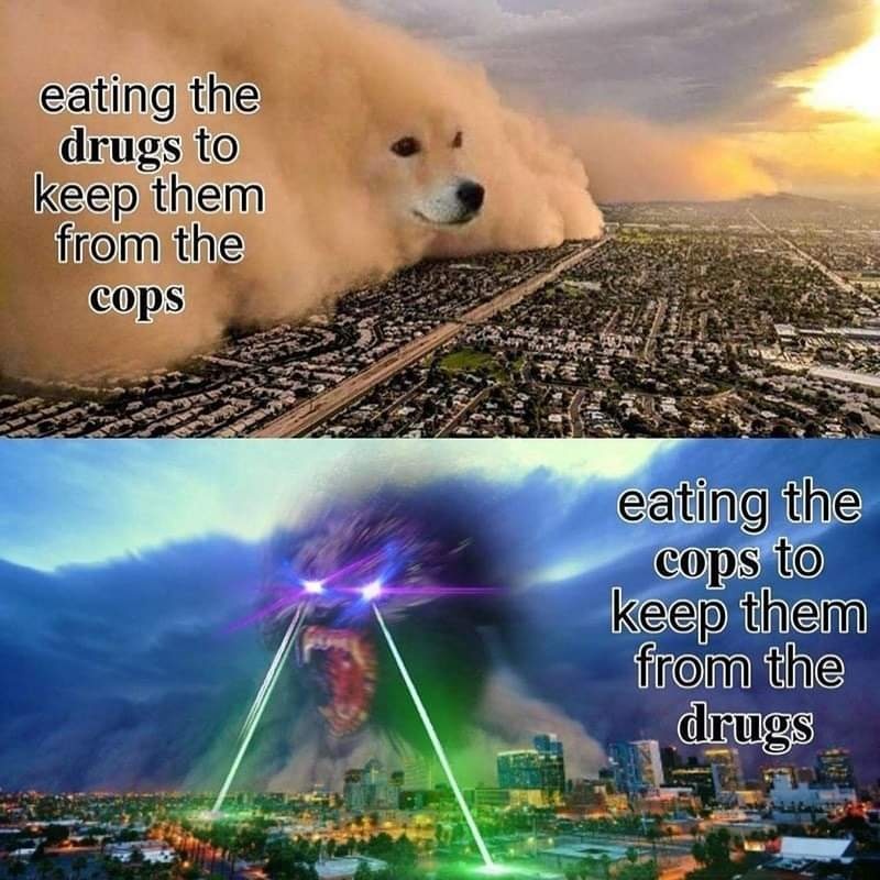 This meme is a play on the classic "dog vs. cat" meme, but with a humorous twist. The image shows a split-screen comparison between a dog and a cat, with the text "I can eat my owner's food" on the left and "I will eat your owner" on the right. The meme is a lighthearted joke about the differences in behavior between dogs and cats, with the cat being more aggressive and the dog being more innocent.