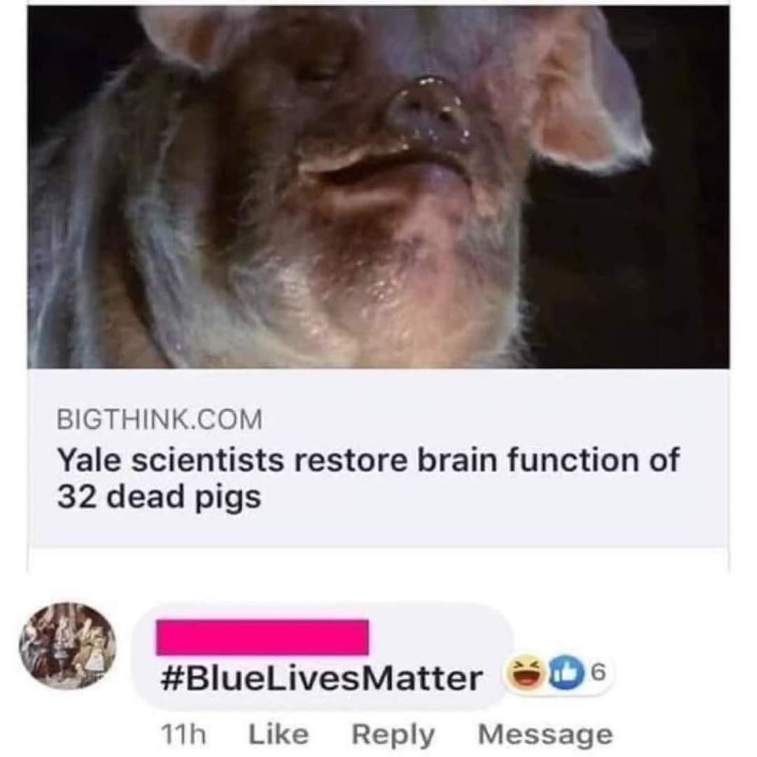 The meme is a humorous image of a person with a shocked expression, with a caption "I can explain science" above a screenshot of a news article with the headline "Yale scientists restore brain function of 32 dead pigs". The meme is poking fun at the idea that a team of scientists can restore brain function in dead pigs, implying that they are trying to explain something complex and scientific, but are actually just making a ridiculous claim.