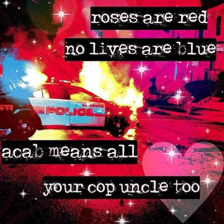 This meme is a humorous image that juxtaposes a chaotic scene of a police car on fire with a romantic poem. The text overlay reads: "Roses are red, violets are blue, I'd rather see the police car in flames, than kiss you."