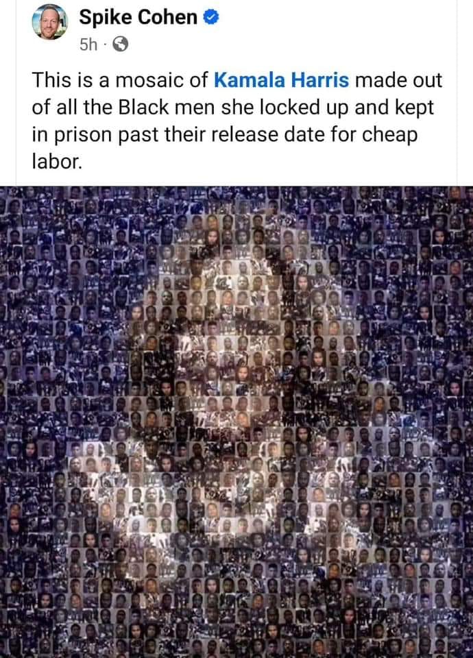 This meme is a photo of a person (Kamala Harris) surrounded by a mosaic of smaller images of men, with the text "This is a mosaic of Kamala Harris made out of all the Black men she locked up and then let go."