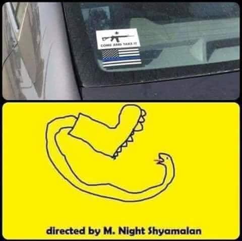 The meme features a screenshot of a car with a "Come and Take It" sticker on the window, but with a black box covering the gun and replacing it with a picture of a cat's head. The text "Come and Take It" is still visible, but the image has been altered to be humorous and ironic.