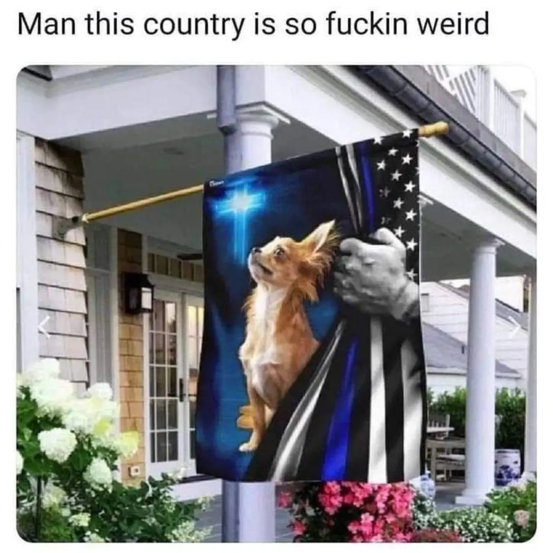 This meme is a humorous image of a flag with a patriotic theme, but with a bizarre and irreverent twist. The text at the top reads "In God we trust, all others we kill" and the image shows a flag with a picture of a dog wearing a military uniform and holding a gun, with a caption that says "In God we trust, all others we kill". The image is meant to be ironic and satirical, poking fun at the idea of patriotism and the notion that the US is a "land of the free" and a "home of the brave".