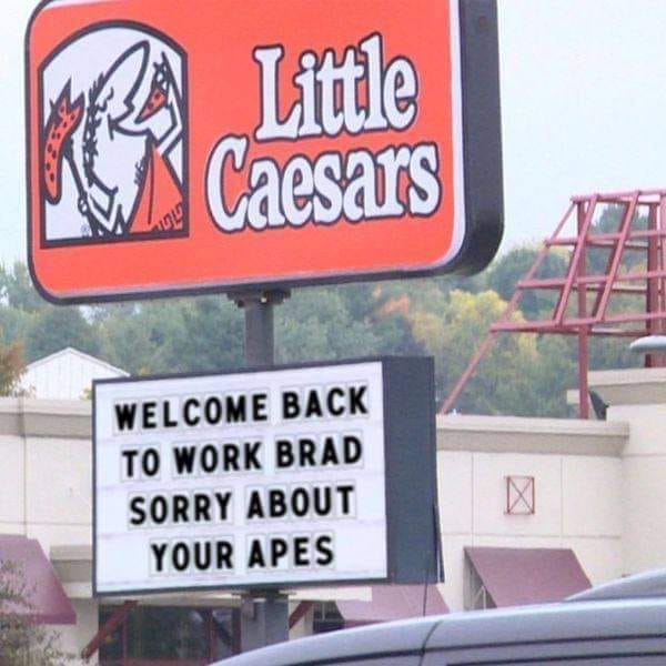 This meme is a humorous image of a "Now Hiring" sign from a fictional "Little Caesars" restaurant, with a twist. The sign originally reads "We're hiring! Apply in person" but has been altered to say "We're hiring! Apply in person... or die".