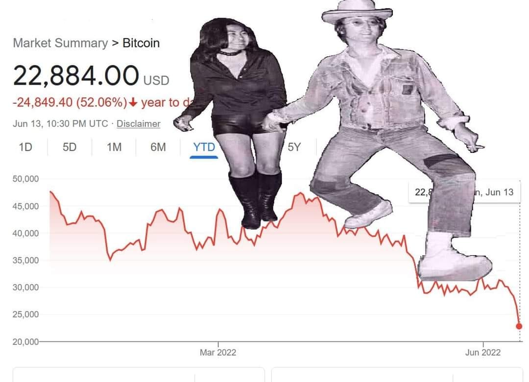 This meme is a screenshot of a cryptocurrency market chart, with a dramatic drop in value (from $69,000 to $20,000). The text "Inflation is a form of taxation on money, money is destroyed when it is printed by an inflationary government" appears above the chart, but is not the focus of the meme. The image is meant to be humorous, with a cartoon image of a man and woman (Elon Musk and Grimes, but not actually them) in a dramatic pose, implying that they are falling from the sky due to the massive drop in value.