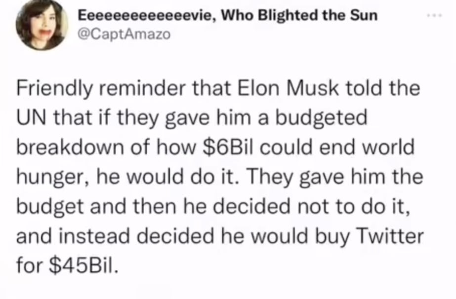 The meme is a humorous commentary on the infamous tweet by Elon Musk, where he suggested that if the UN gave him a budget to solve world hunger, he would only use it to buy Twitter for $45 billion. The meme pokes fun...
