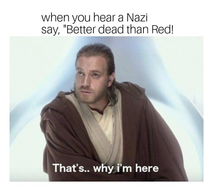 This meme is a play on the infamous "I find your lack of faith disturbing" line from the Star Wars franchise, but with a Nazi twist. The image shows a character from Star Wars, likely a Sith Lord, saying "I find your lack of faith in the Nazi regime... disturbing." The meme is a humorous take on the original line, replacing the Sith Lord's words with a Nazi-themed phrase.