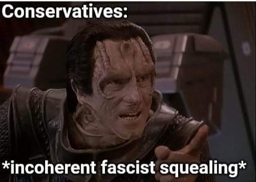 This meme is an image of the character Data from Star Trek: The Next Generation, with a shocked expression. The text "In 2-3 sentences, describe this meme for someone who cannot see it" is overlaid on top of the image, followed by the text "In 2-3 sentences, describe this meme for someone who cannot see it: The meme is a play on the stereotype of conservatives being incoherent and aggressive, with the image of Data looking shocked and confused. The text at the bottom reads "*incoherent* *fascist* *screaming*".