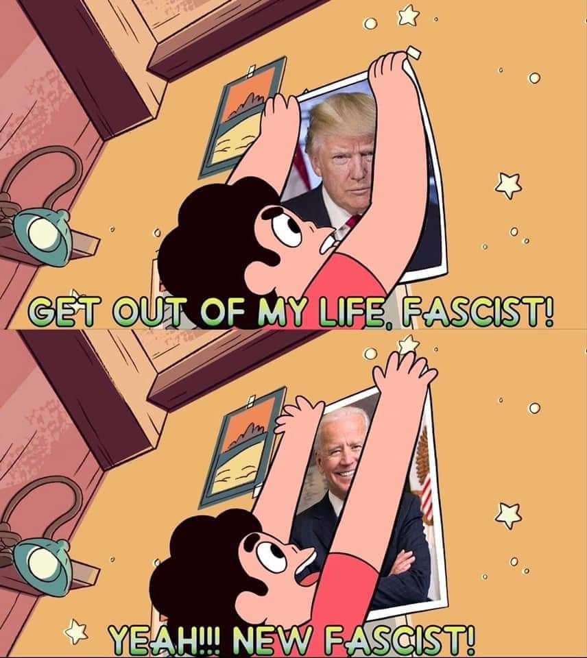 This meme is a humorous illustration of a person trying to remove a Donald Trump and Joe Biden portrait from the wall, but the text "GET OUT" is replaced with "GET OUT OF MY LIFE, FASCIST!" and then "YOU'RE BOTH FASCISTS" is replaced with "YOU'RE BOTH...". The meme uses a playful and sarcastic tone to poke fun at the absurdity of having to remove both former presidents from the wall.