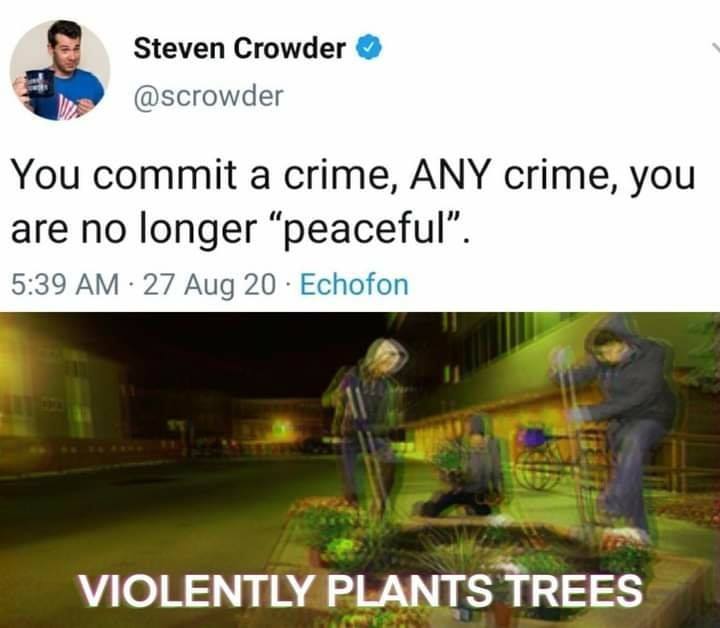This meme is a humorous take on a common phrase. The image depicts a person being violently attacked by a group of people, but the text "In 2-3 sentences, describe this meme for someone who cannot see it. Include any text that appears in the image" is actually the description itself. The actual meme is a screenshot of a tweet by "Sargon of Akkad" (a YouTube personality) that says "You can't kill a meme, it just dies in you".