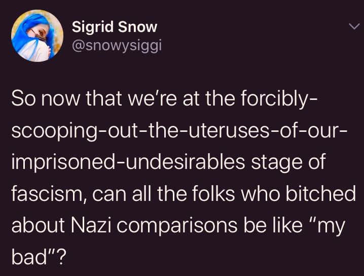 The meme is a tweet from Sigrid Snow, which reads: "So now that we're at the forcibly-scooping-out-the-uteruses-of-our-imprisoned-undesirables stage of fascism, can all the folks who bitched about Nazi comparisons be like 'my bad'?" The tweet is written in a sarcastic tone and is likely responding to people who previously dismissed comparisons between the current political climate and Nazi Germany. The meme is making a humorous comment about how some people's concerns about fascism have been proven to be accurate.