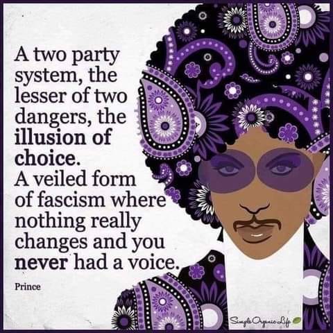 This meme features a quote from Prince, a famous musician, with a quote that says: "A two-party system, the lesser of two dangers, the illusion of choice. A veiled form of fascism where nothing really changes and you never had a voice." The quote is written in a bold, black font on a white background. The image also features an illustration of Prince's face, with his signature in the corner. The overall tone of the meme is one of social commentary, criti.