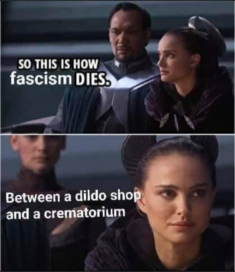 This meme is a humorous and satirical commentary on the concept of fascism. The top panel features a scene from the Star Wars franchise, with a character saying, "So this is how fascism dies." The bottom panel shows a different character responding with, "Between a dildo shop and a crematorium." The text in the top panel is a quote from the movie, while the bottom panel is a humorous and unexpected response that pokes fun at the idea of what would be a fitting end for a person who would want to be buried with a certain object. The image is meant to be humorous and satirical, rather than serious.