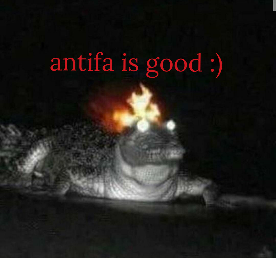 The image features a low-quality, pixelated image of a creature with a large, round body and a long, thin tail. The creature appears to be on fire, with flames or a fire-like effect on its head. The text "antifa is good :)" appears in red, above the creature. The image is likely meant to be humorous or satirical, and the text may be intended to be ironic or … more …