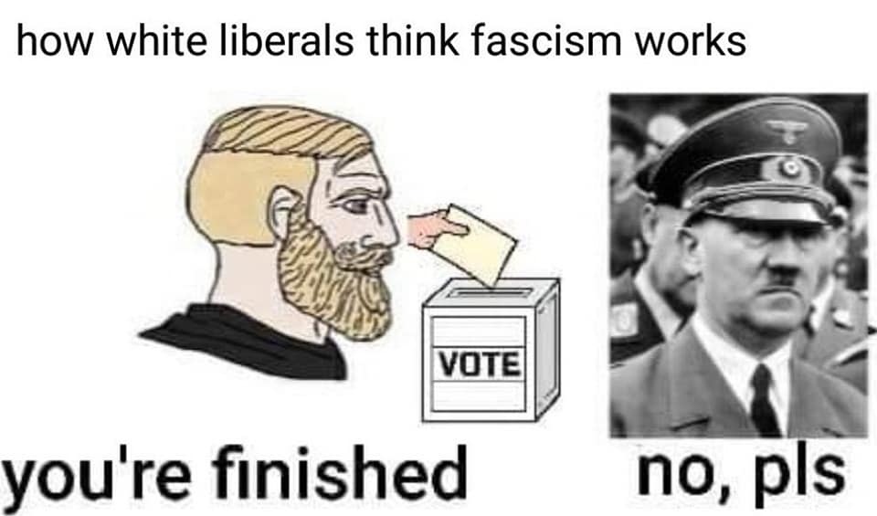 The meme is a satirical commentary on the idea that white liberals are too self- and others- aware to be genuine fascists. The image shows a man voting and a photo of a person with a scowled face. The text reads: "how white liberals think fascism works" followed by "you're finished" and a photo of a scowled face with the text "no, pls". The meme implies that white liberals are too self- and others- aware to be genuine fascists.
