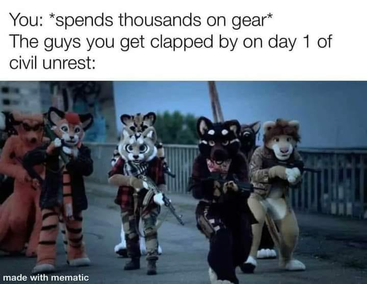 The meme is a humorous comparison between two different scenarios. The top text states "You: *spends thousands on gear*" and "The guys you get clapped by on day 1 of a civil unrest:". The image shows a group of anthropomorphic animals, likely from the popular internet culture of "furries", all armed and ready for battle. They are likely a reference to the popular internet culture of "furries" and are meant to be humorous and satirical.