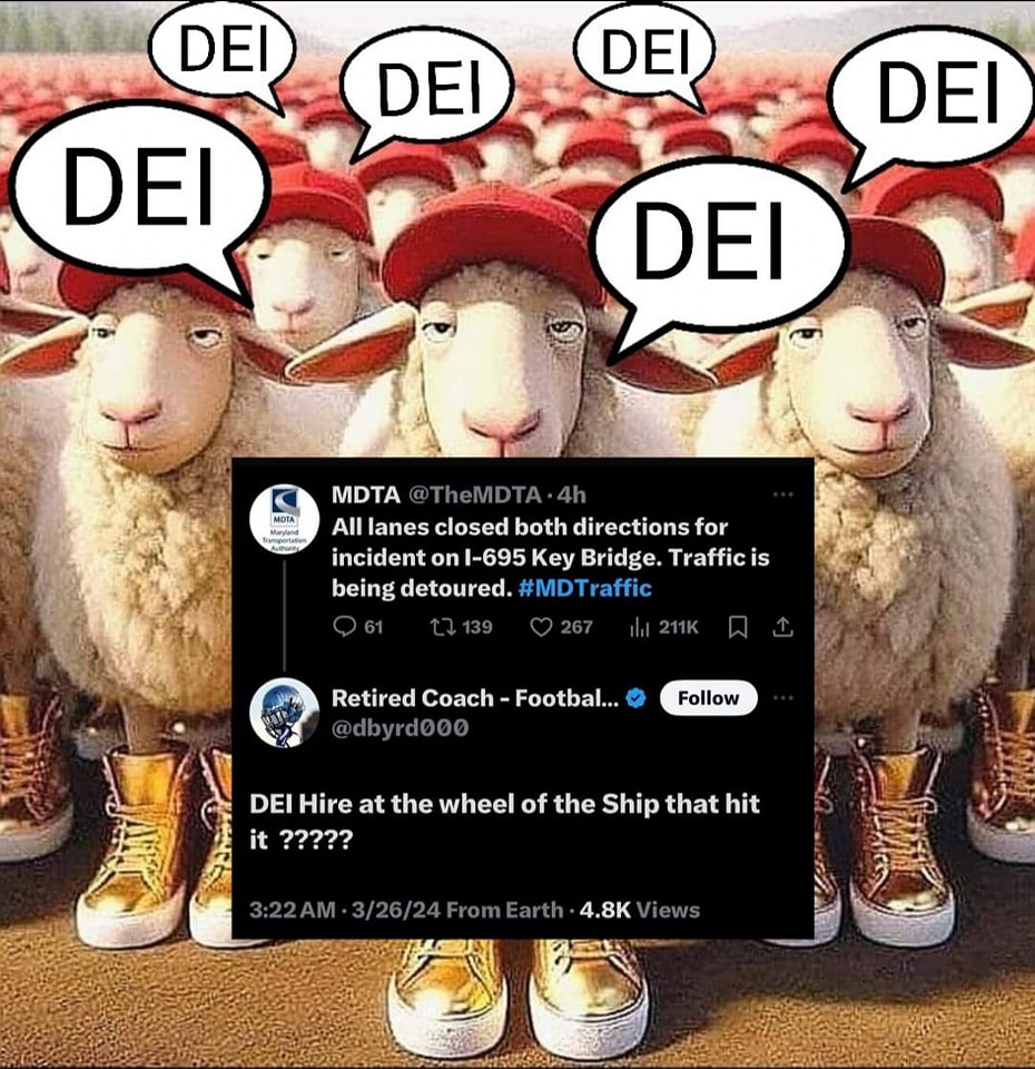 The meme features a group of sheep wearing similar outfits, including red hats and gold shoes. The image is overlaid with speech bubbles containing the acronym "DEI" (short for "Diversity, Equity, and Inclusion"), which is often used to describe a person's or organization's commitment to these values. The text at the bottom of the image reads "DEI" multiple times, implying that the sheep are all trying to prove their own DEI credentials.
