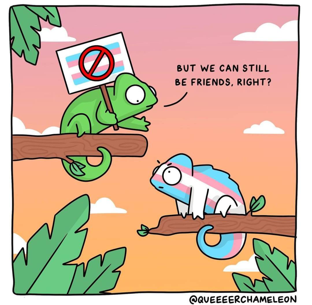 The meme features two chameleons on a branch. One chameleon holds a sign with a red circle and a line through it over a transgender flag, indicating that it's opposed to the transgender flag. The other chameleon asks if they can be friends, despite the first chameleon's opposition to the flag.