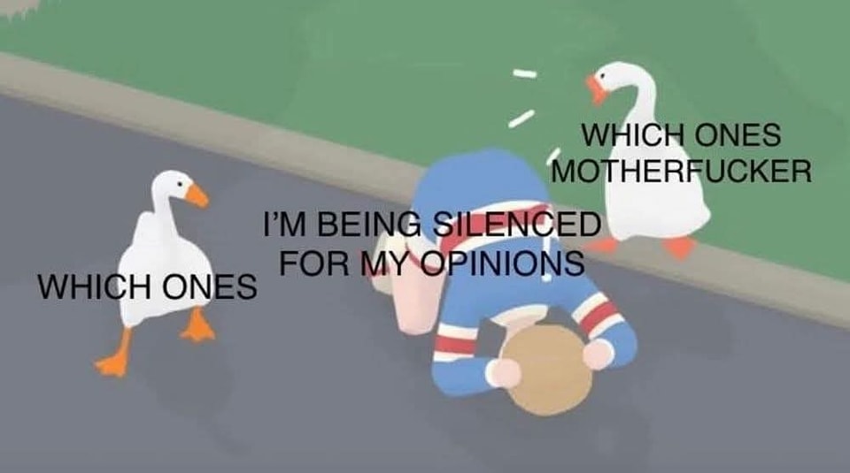 This meme is a humorous illustration of a conversation between two characters. The top panel shows a white goose (the "I'm being silenced for my opinions" goose) being chased by a blue, red, and white striped character (the "I'm being silenced for my opinions" goose's pursuer). The text "I'm being silenced for my opinions" is written above the goose, and "Which ones?" is written above the pursuer.  The bottom panel shows the same characters, but with the text "Which ones?" written above the goose, and "I'm being silenced for my opinions" written above the pursuer. The text "Which ones?" is written above the goose, and "I'm being silenced for my opinions" is written above the pursuer.  The text "I'm being silenced for my opinions" is written above the goose, and "Which ones?" is written above the pursuer. The text "I'm being silenced for my opinions" is written above the goose, and "Which ones?" is written above the pursuer.