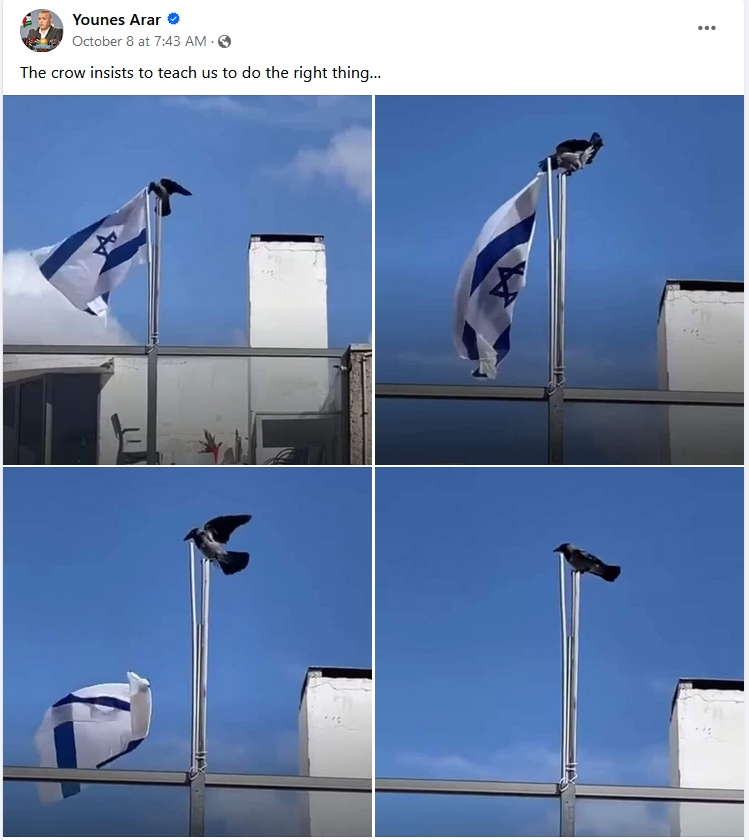 The meme features a series of images depicting a crow perched atop an Israeli flag, with the bird appearing to be defecating on the flag. The caption reads, "The crow insists to teach us to do the right thing...". The meme is likely intended to be humorous and satirical, poking fun at the idea that even a bird can be more responsible and moral than some people. The use of a crow, a symbol of mischief and trouble, adds to the comedic effect.