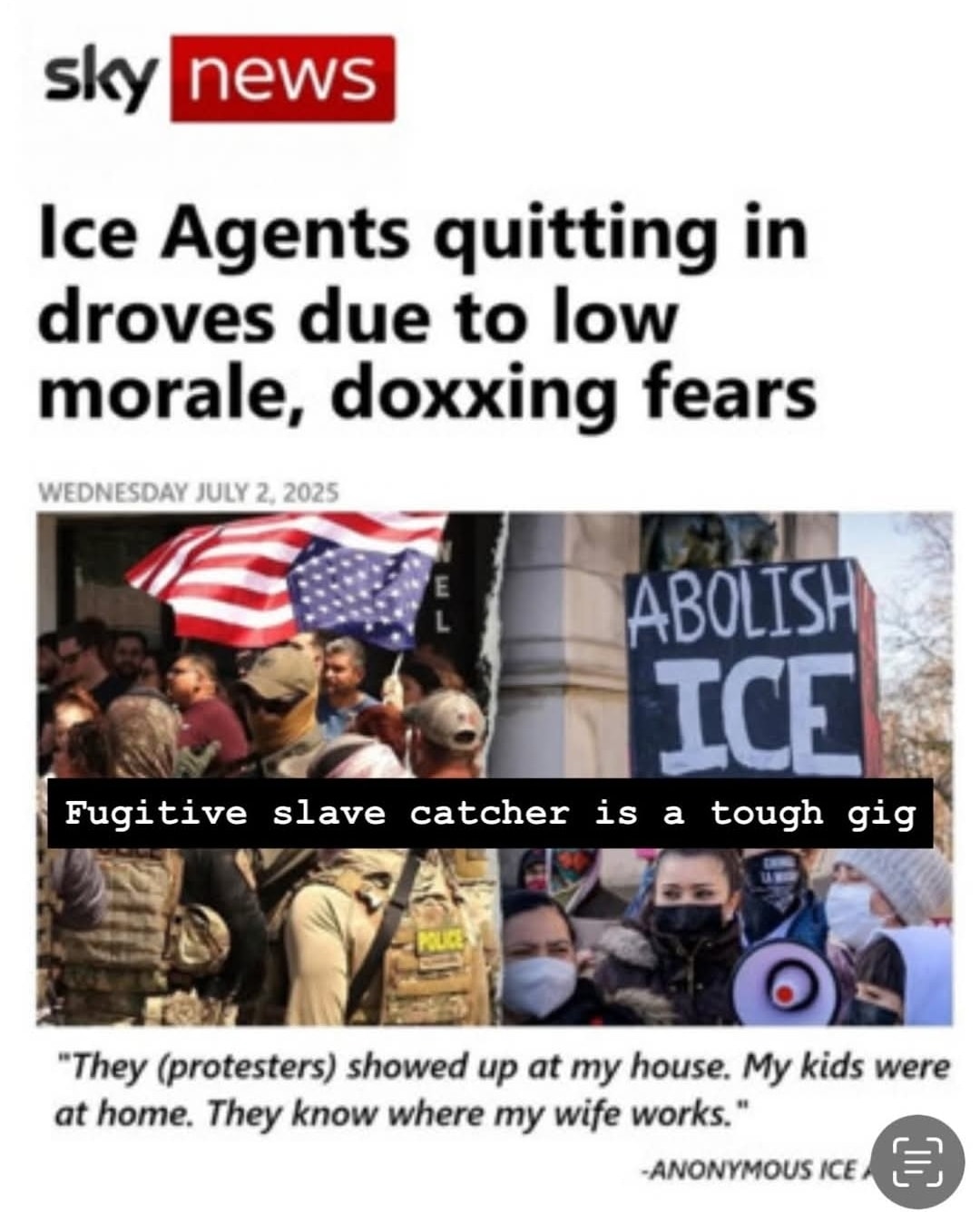 The meme is a commentary on the current state of anti-fascism, using a news headline from a fictional "Sky News" article to highlight the absurdity of a protestor's claim that they are being "flogged" by an "anti-fasc...