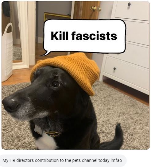 The meme features a photo of a dog wearing a hat with a speech bubble above its head. The text in the speech bubble reads "Kill fascists" and is meant to be humorous and ironic, as it's unlikely a dog would be able to carry out such a task. The meme is likely meant to be a humorous and satirical take on the idea of a dog being a "fascist" and the absurdity of a dog being able to take action against a specific group.