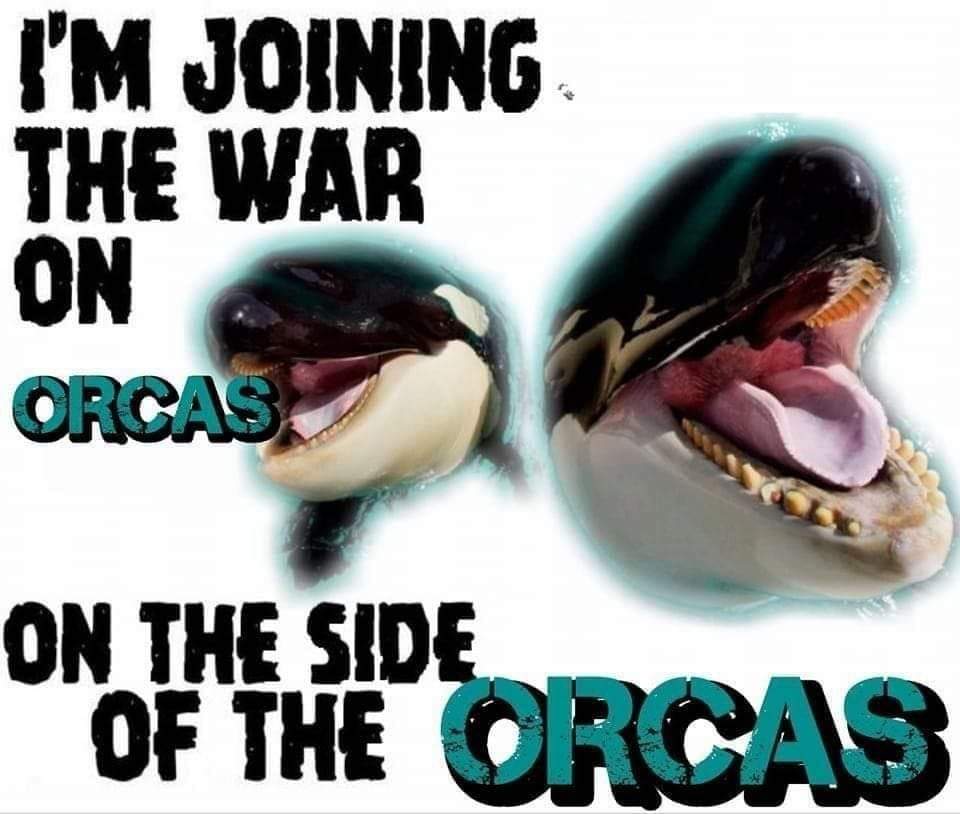 The meme features a split image of an orca's mouth, with the left side showing a peaceful orca with the text "I'm joining the war on orcas" and the right side showing a violent orca with the text "On the side of the o...