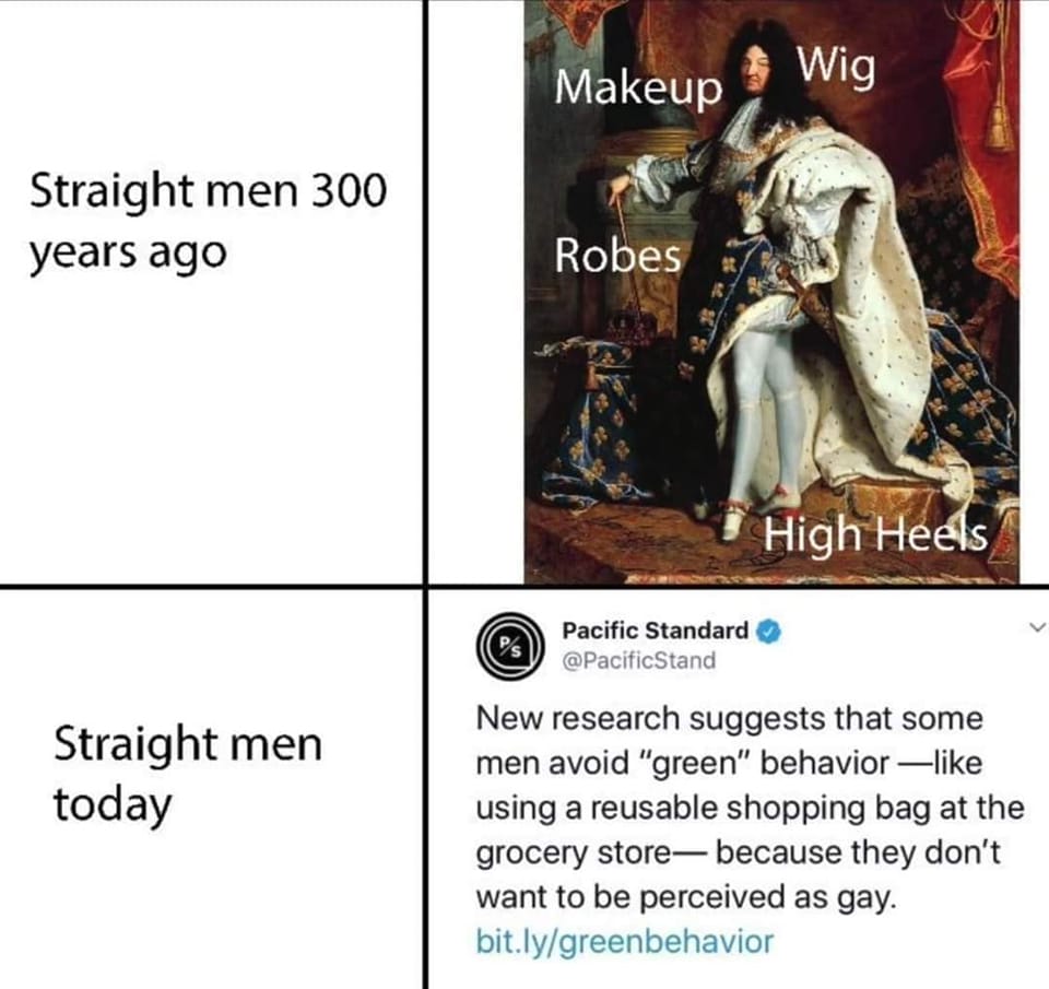 This meme is a humorous comparison between the fashion choices of straight men in the past (300 years ago) and today. The image shows a historical portrait of a man in a lavish, elaborate outfit, with text labeling his clothing as "Makeup", "Wig", "Robes", and "High Heels". The meme is meant to be ironic, suggesting that men in the past were more openly and extravagantly dressed in a way that is now considered "gay" or "feminine" by modern standards.