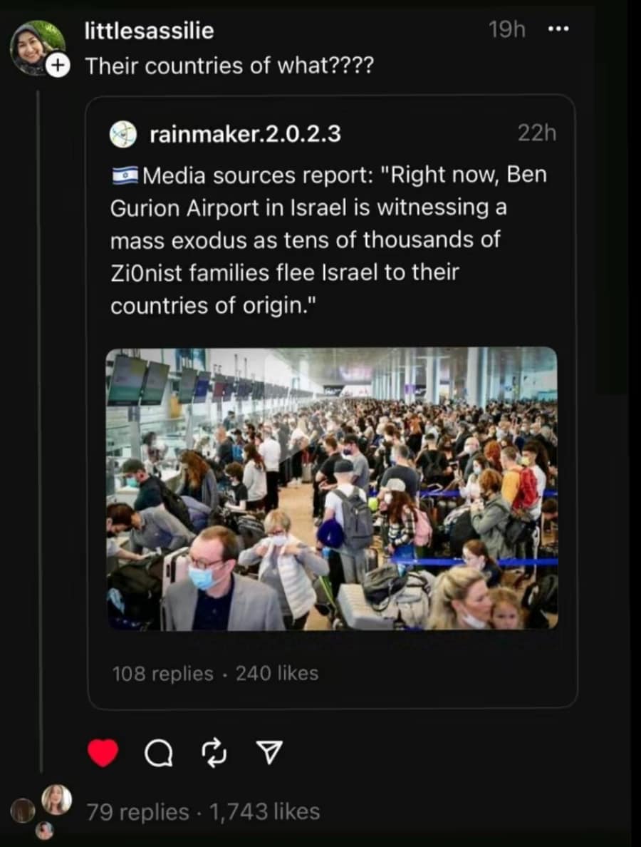 The meme features a photo of a crowded airport, with a caption that reads, "Media sources report: 'Right now, Ben Gurion Airport in Israel is witnessing a mass exodus as tens of thousands of Zionist families flee Israel to their countries of origin.'" The image is overlaid with the text "Their countries of what???" in white, suggesting that the commenter is questioning the validity of the claim. The image is a screenshot of a social media post, with the username "littlesassilie" at the top and a comment below it that reads, "Their countries of what???" in white.