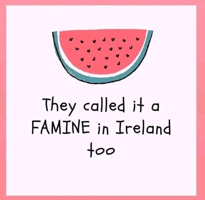 The meme is a play on the phrase "They called it a FAMINE in Ireland" from a famous Irish joke. The image is a simple illustration of a watermelon slice with the text "They called it a FAMINE in Ireland too" written below it. The joke is a play on words, using the word "FAMINE" (short for "Fruit and Melon" or "Fruit and Meat" in some parts of Ireland) to make a humorous and ironic comment about the infamous Irish famine.